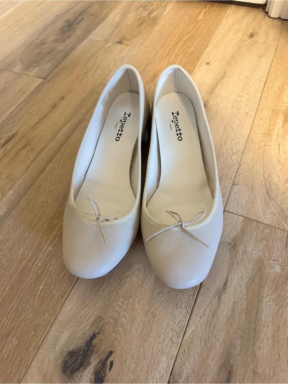 Repetto Camille Ballet Flats in Beige Swan